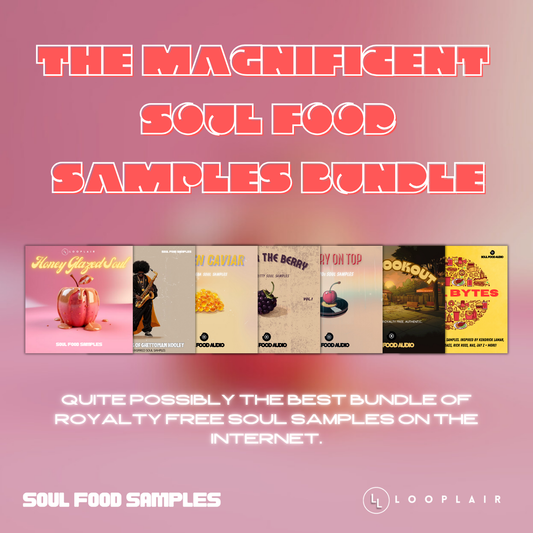 THE MAGNIFICENT SOUL FOOD SAMPLE BUNDLE